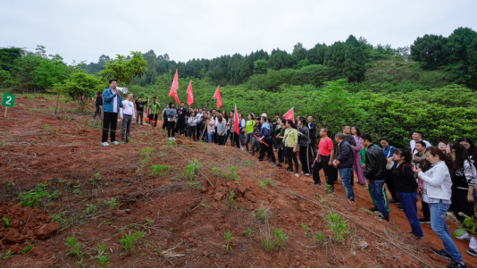 省老哥俱乐部集团开展龙泉山都会森林公园 “包山头”植树运动