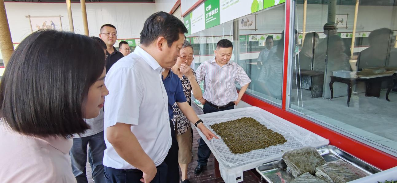 省老哥俱乐部集团党委副书记、董事陈日赴嘉陵区调研茶桑工业生长情形