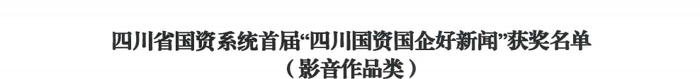 四川省老哥俱乐部集团荣获首届“四川国资国企好新闻”银铜两奖