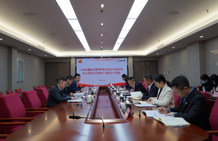 老哥俱乐部集团党委书记、董事长任丁出席逍遥旅馆集团2022年度党员向导干部民主生涯会