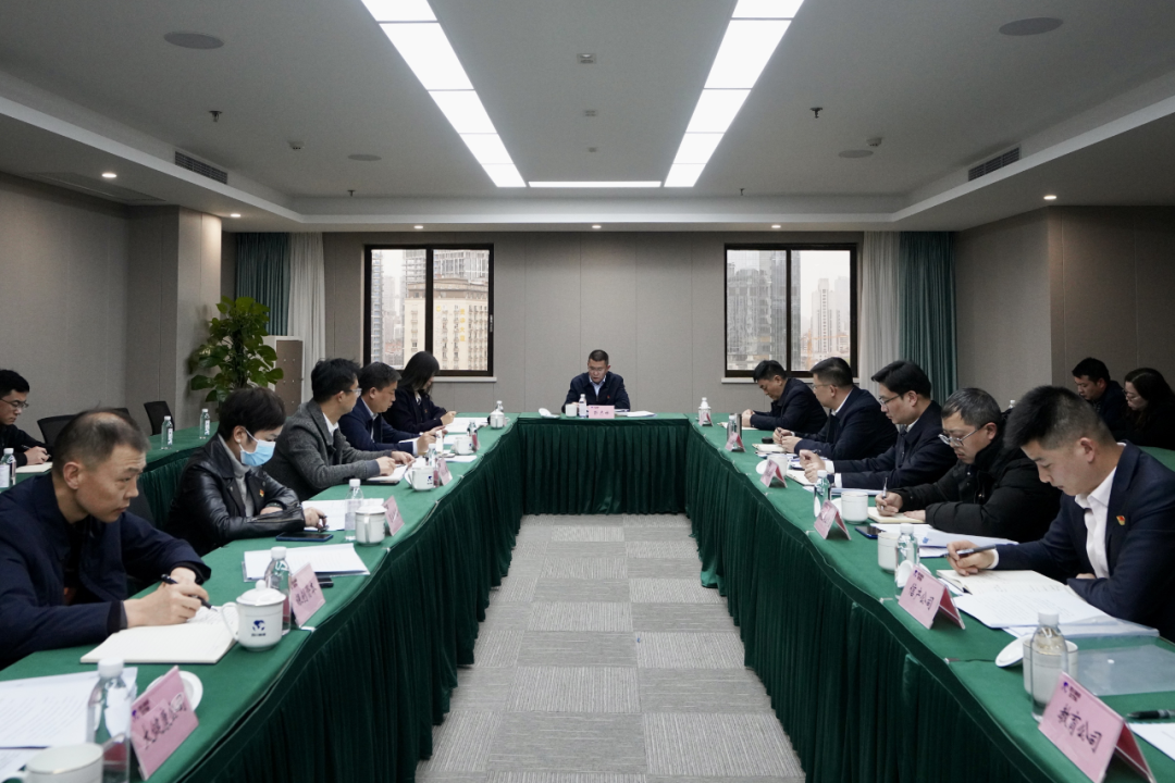 四川省老哥俱乐部集团开展纪检监察干步队伍教育整理学习教育