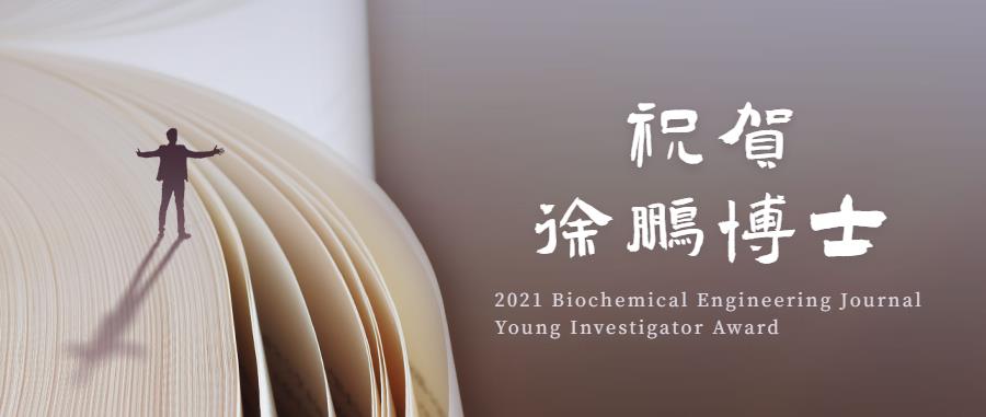 ca8e2d8f-f14b-4245-9248-859186925995