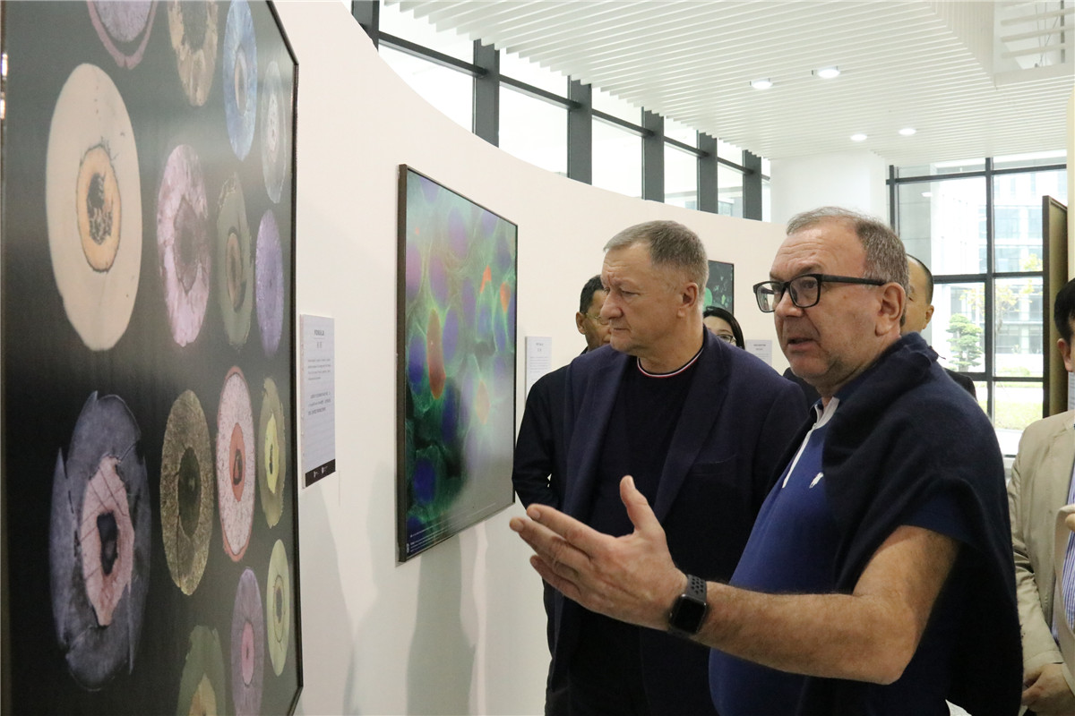 IMG_9850.jpg IMG_9850.jpg