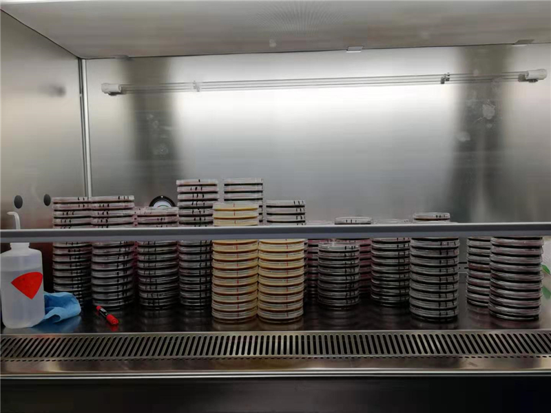 ÑÕݸ¶û.jpg ÑÕݸ¶û.jpg