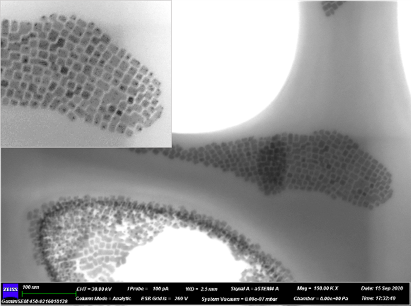 444_¸±±¾.png 444_¸±±¾.png