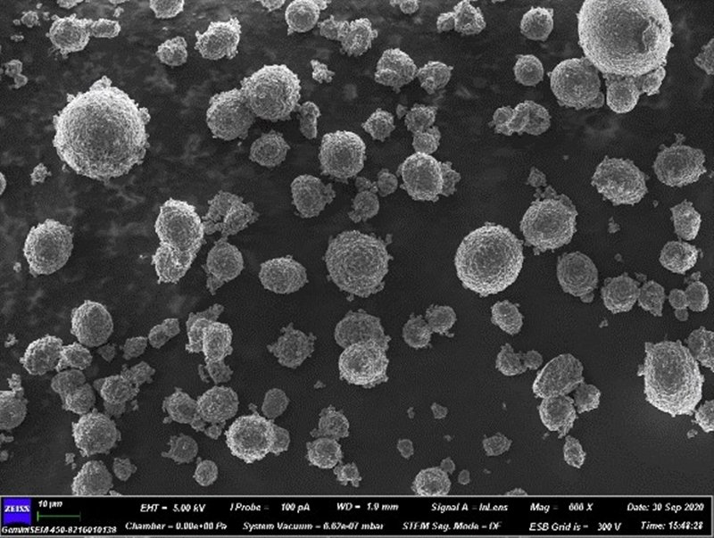 555_¸±±¾.jpg 555_¸±±¾.jpg