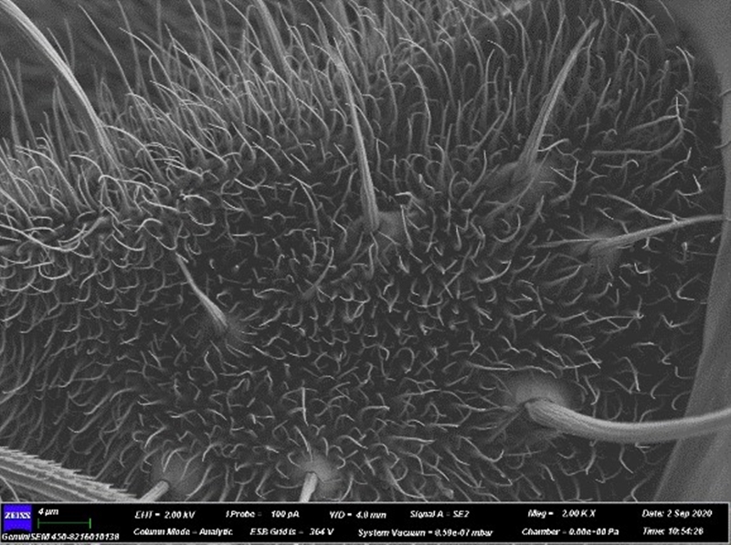 666_¸±±¾.jpg 666_¸±±¾.jpg