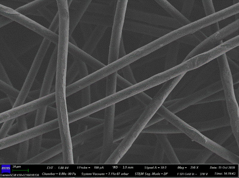 00000_¸±±¾.png 00000_¸±±¾.png