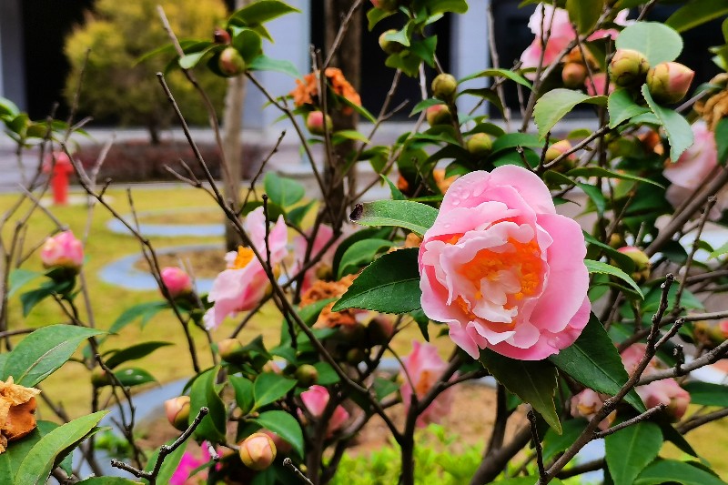 6375147511175795399256724 6375147511175795399256724