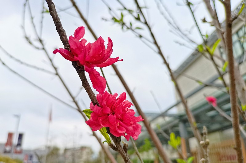 6375147511183198186999295 6375147511183198186999295