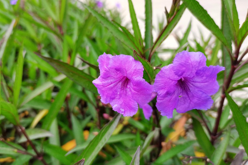 6375147511200895835713681 6375147511200895835713681