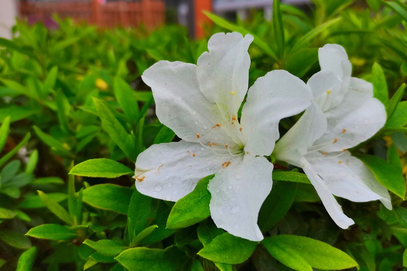 6375147511205093881699589 6375147511205093881699589