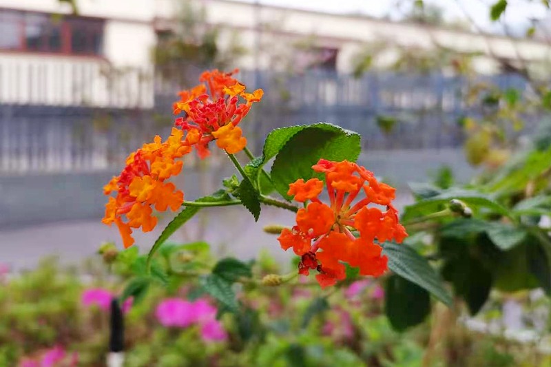 6375147511211496075212914 6375147511211496075212914