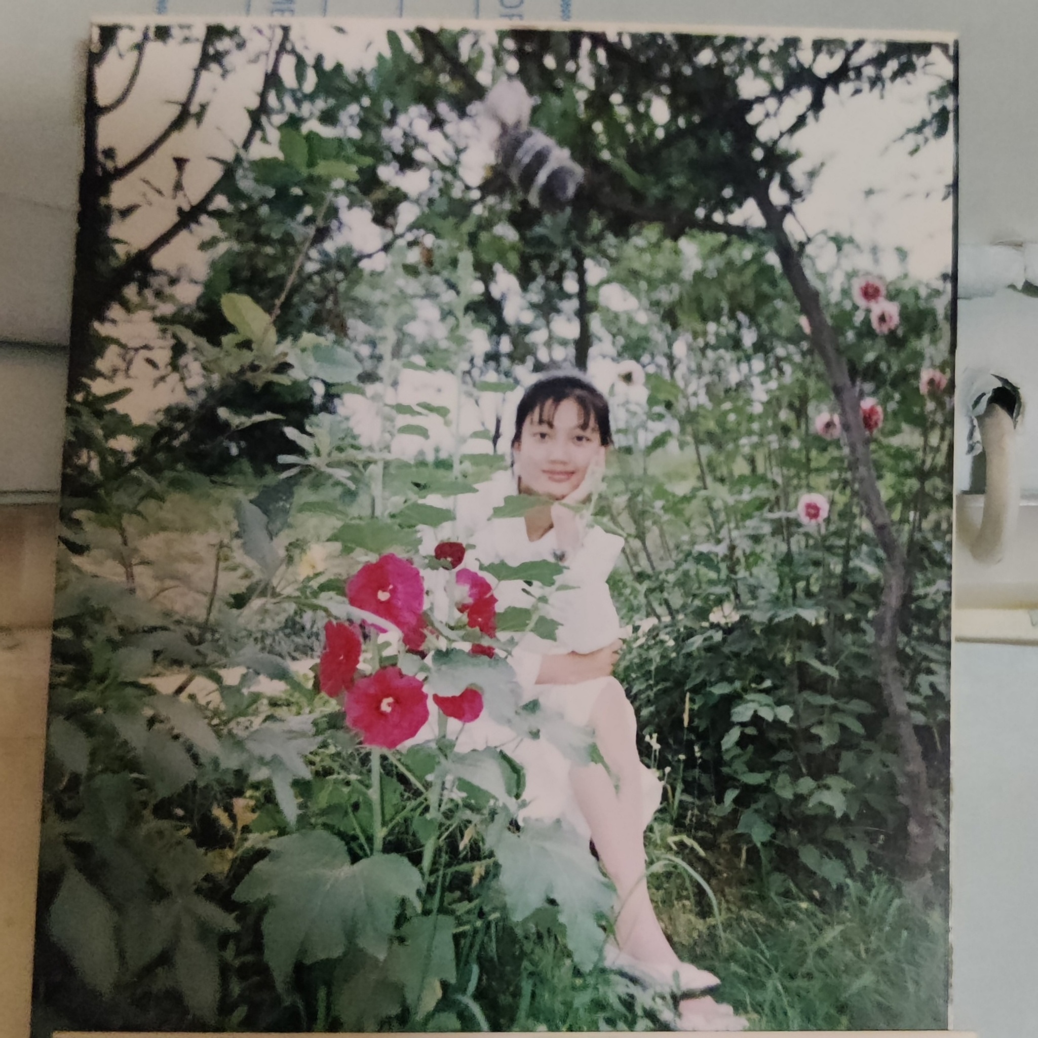 IMG_20211002_205614__02__01__01__01.jpg IMG_20211002_205614__02__01__01__01.jpg