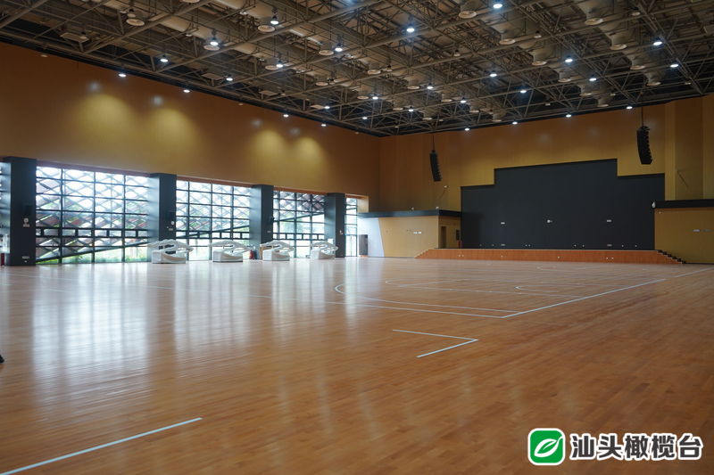 6378373157277433743674111