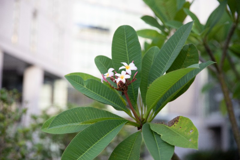 6379807079449446995842700