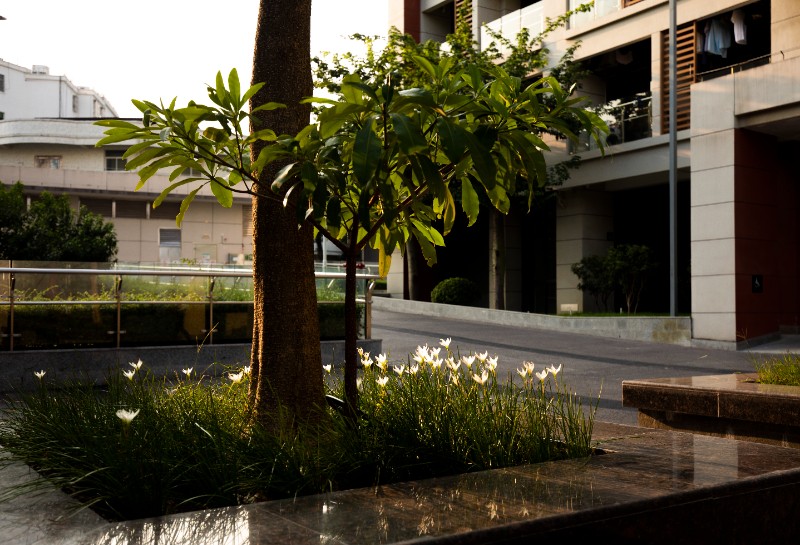 6379807079474449212299656