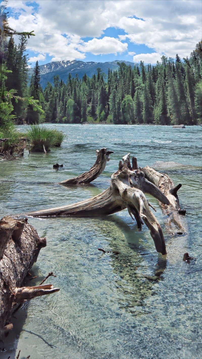 6380015400437640779261334