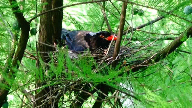 6380015400439206413490580