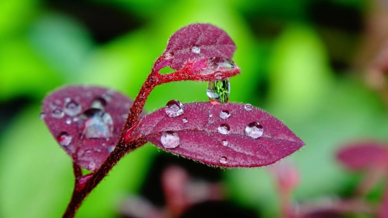 6380015400440765832017997