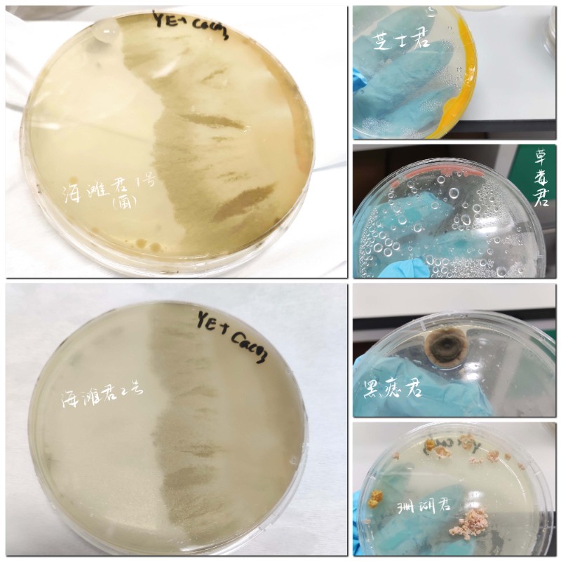 6380015400470453763460862