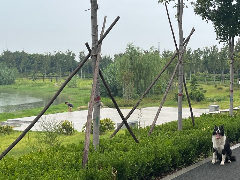 6380015400476705782676015