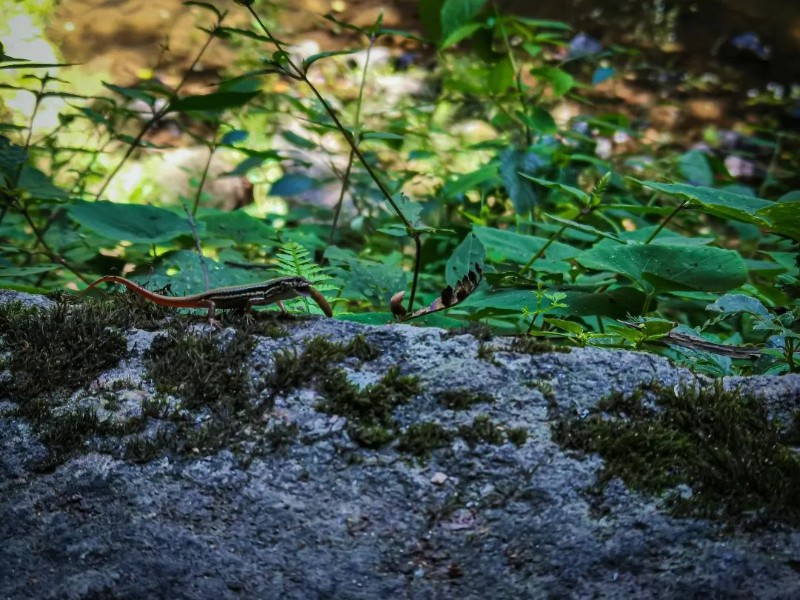 6380118365482576718260659