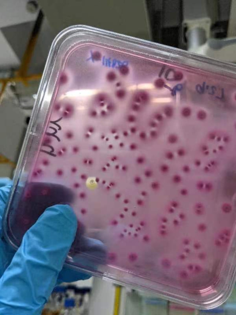 6380118365518513904216849