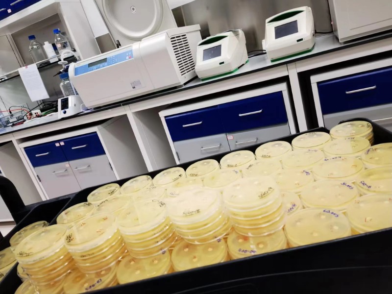 6380118365521640065973512