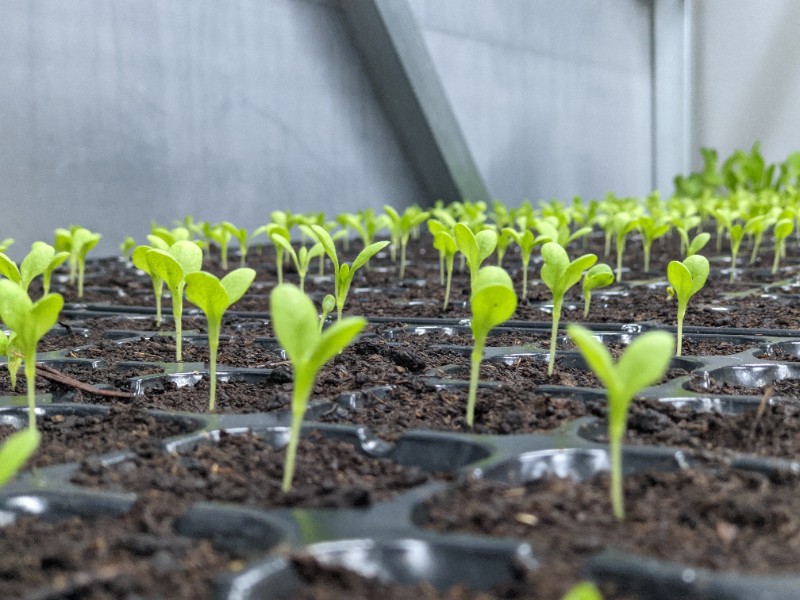 6380118365531014596945328