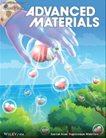 С³ß´ç2.jpg С³ß´ç2.jpg