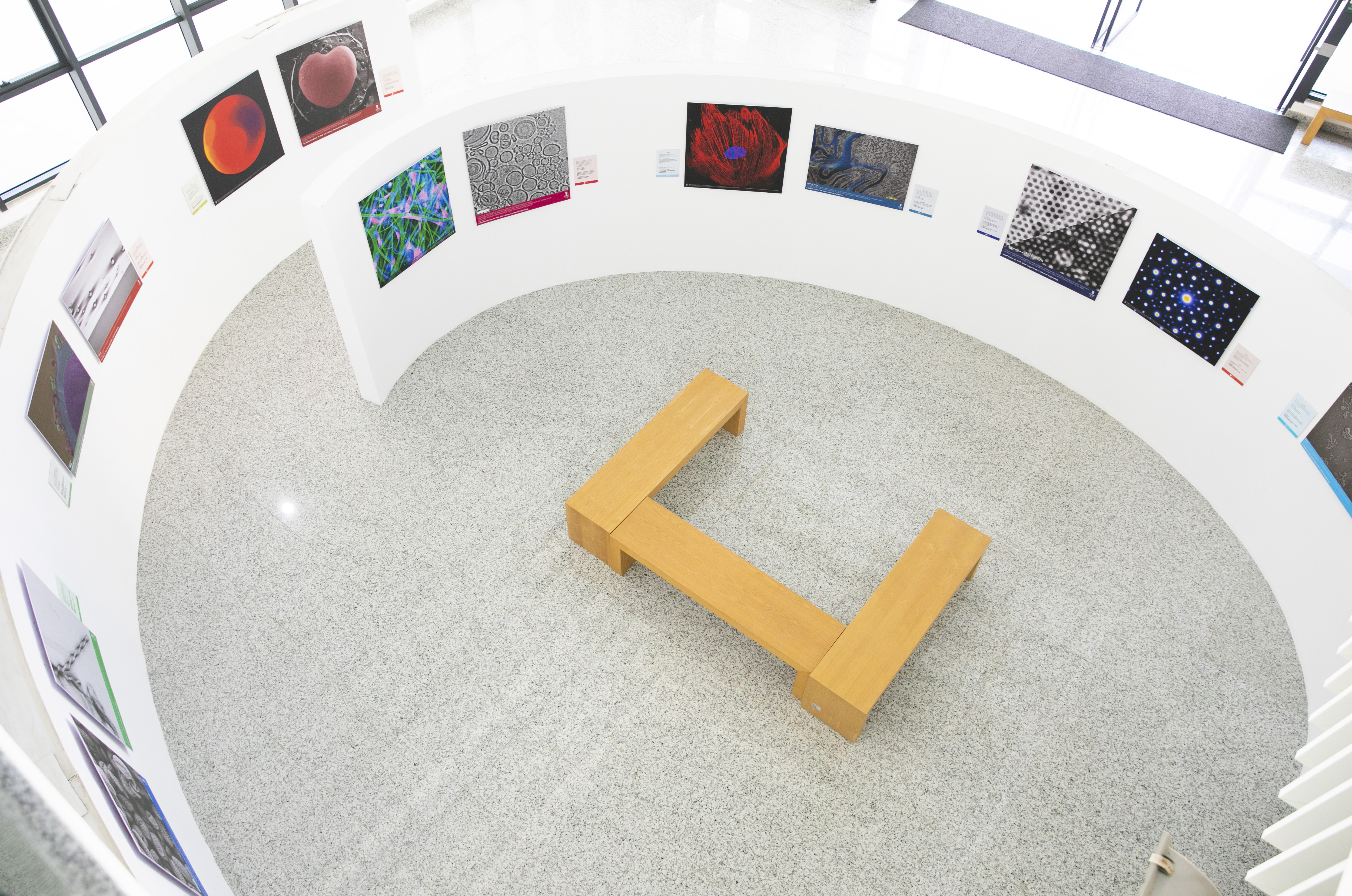 _16A7081.jpg _16A7081.jpg