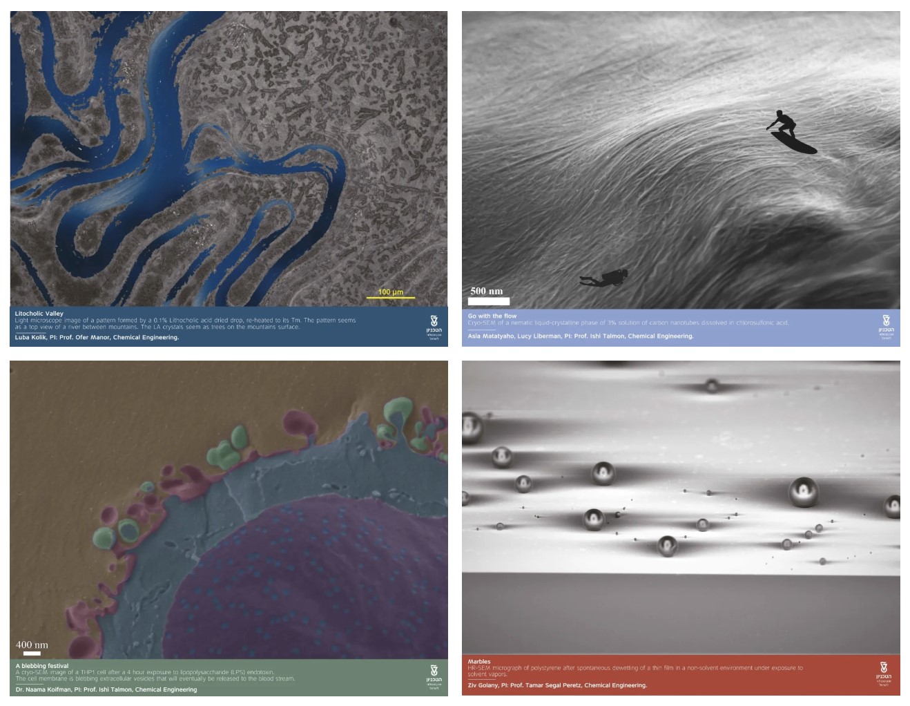 ÆÁÄ»½ØÍ¼ 2024-05-17 091242.jpg ÆÁÄ»½ØÍ¼ 2024-05-17 091242.jpg