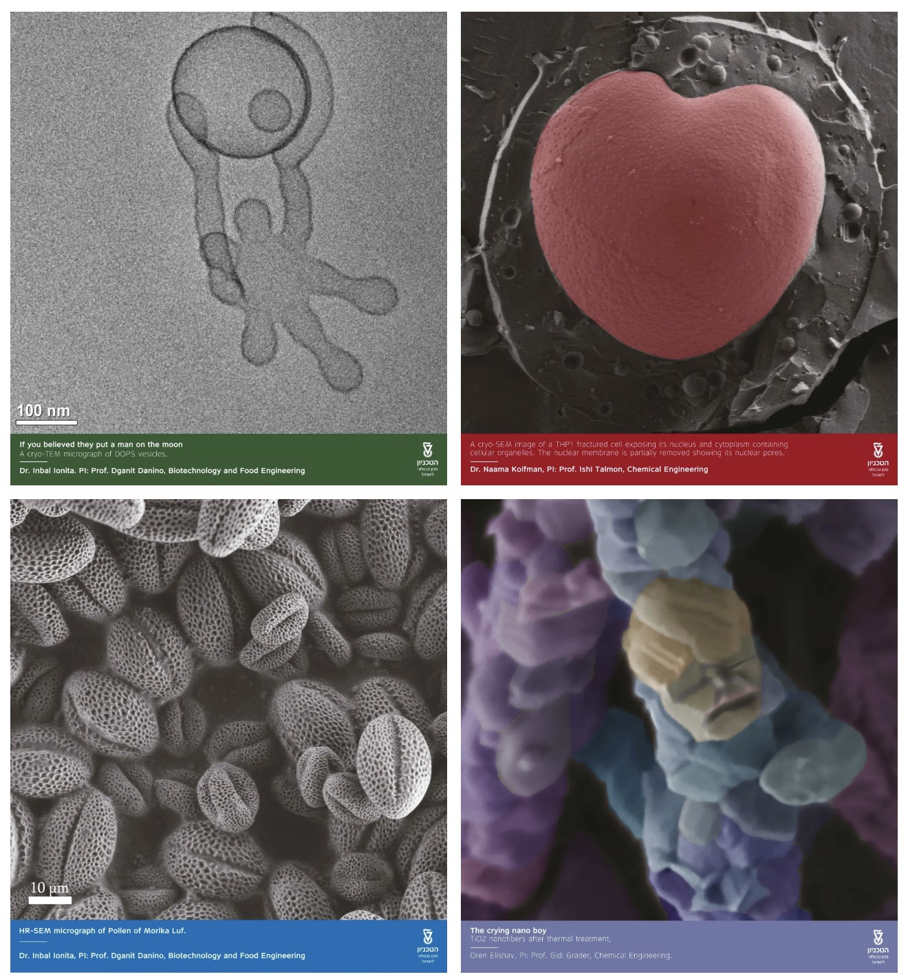 ÆÁÄ»½ØÍ¼ 2024-05-17 091306.jpg ÆÁÄ»½ØÍ¼ 2024-05-17 091306.jpg