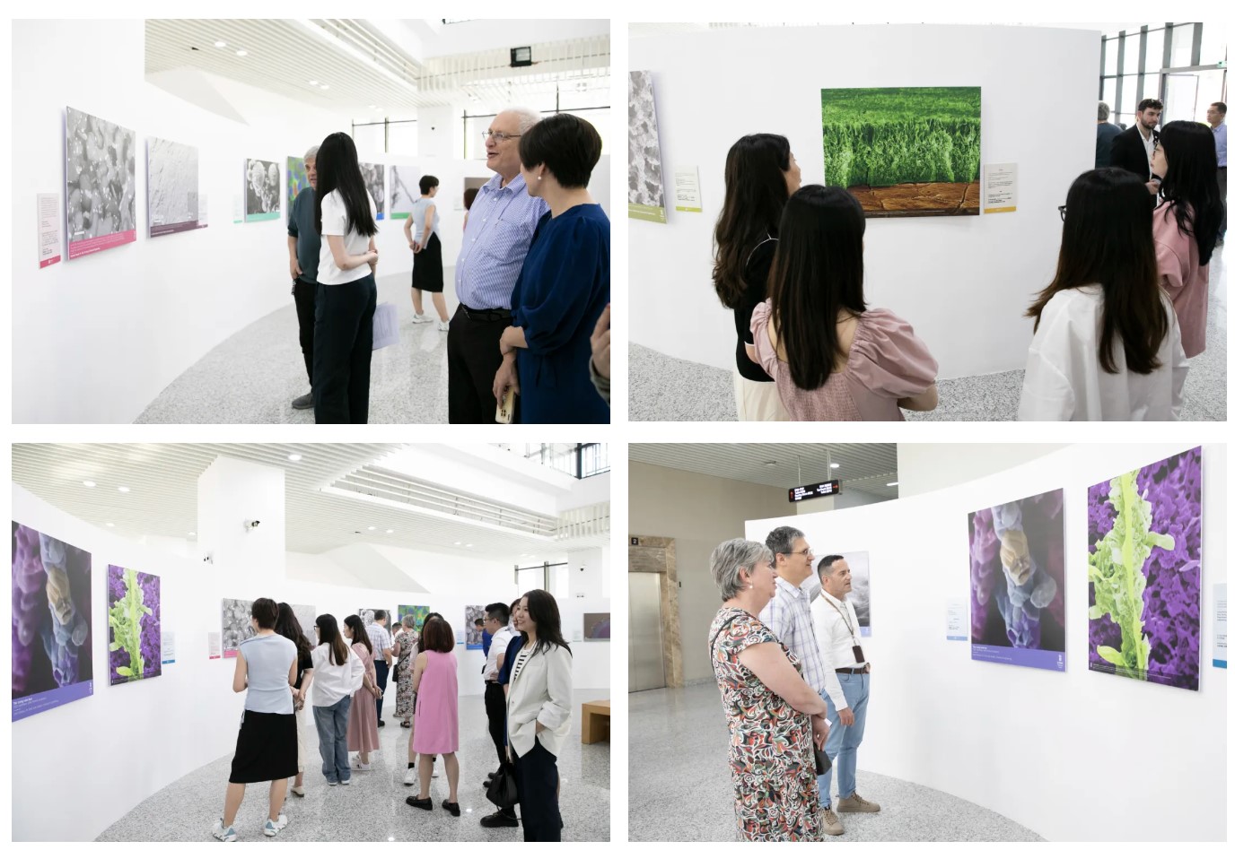 ÆÁÄ»½ØÍ¼ 2024-05-17 091917.jpg ÆÁÄ»½ØÍ¼ 2024-05-17 091917.jpg