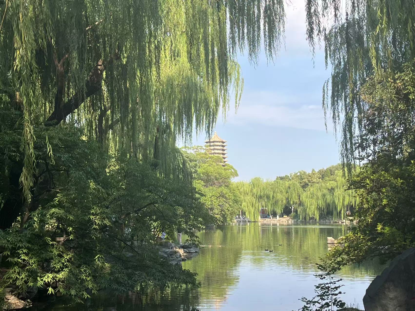 微信图片_20250728113423.jpg 微信图片_20250728113423.jpg